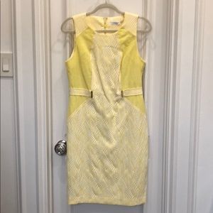 Calvin Klein Dress